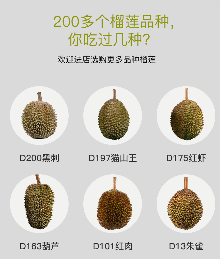 顺丰猫山王d197液氮冷冻带壳整果马来西亚榴莲果肉猫