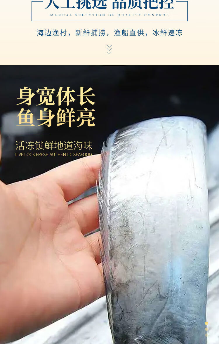 整条带鱼新鲜整箱装特大无冰衣渤海钓带鱼1斤约2条10斤精品渤海钓带无