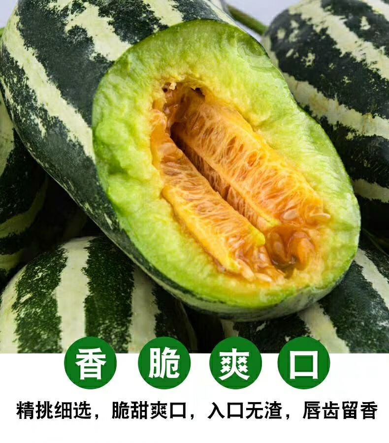 山东博洋9号甜瓜香瓜孕妇水果新鲜当季小脆瓜羊角蜜瓜整箱5斤三斤头茬
