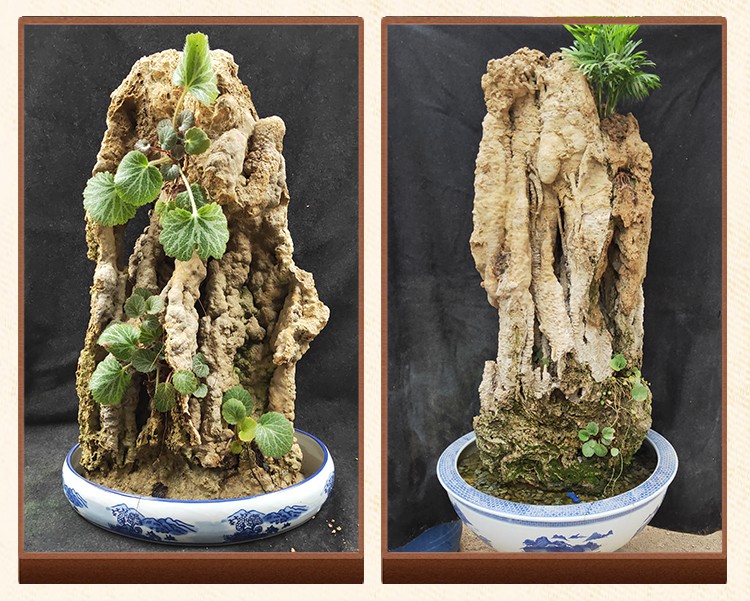 吸水石摆件吸水石原石吸水石头原石芦管石风景石上水石吸水石假山盆景