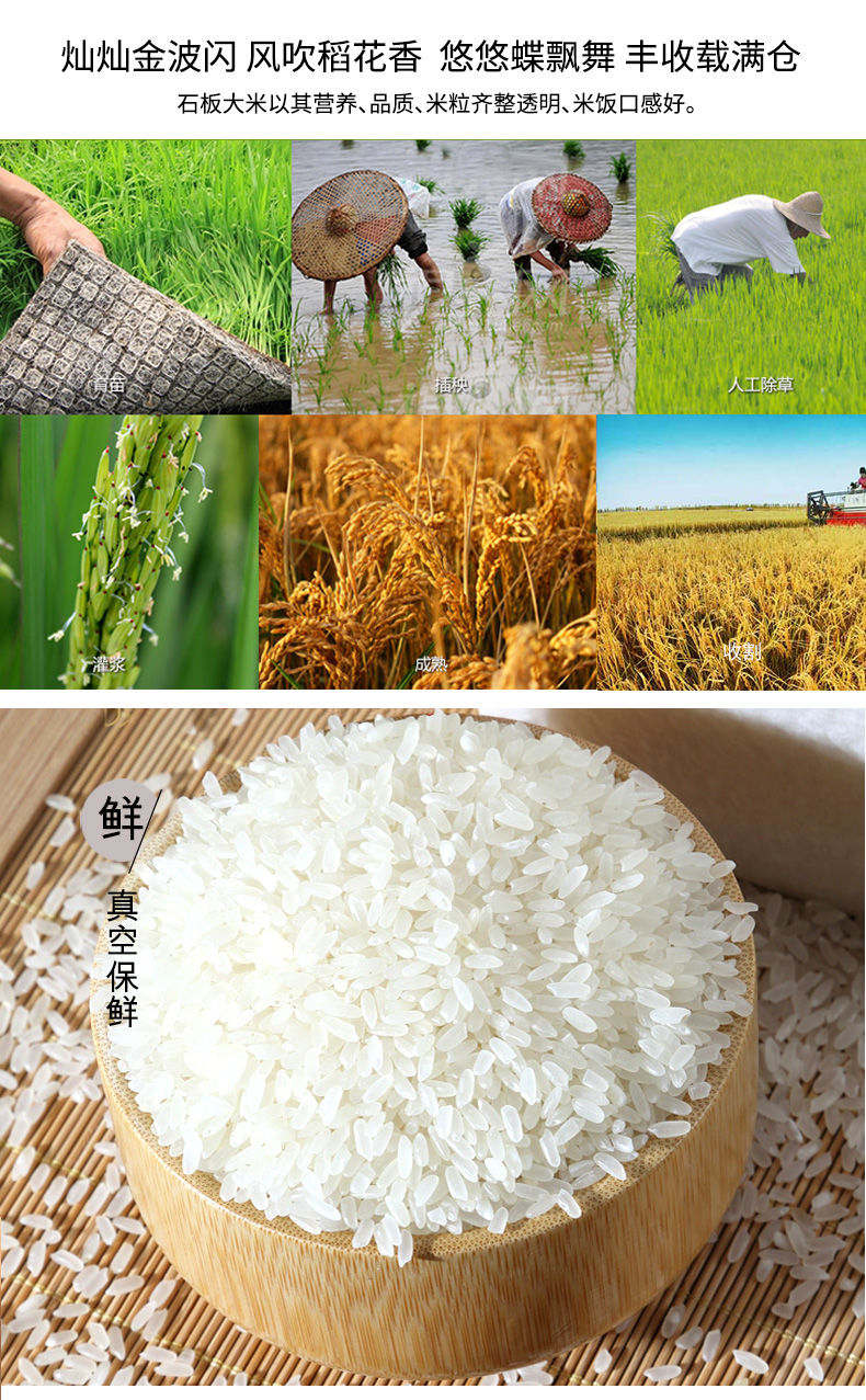 2020新东北大米稻花香农家大米10斤20斤黑龙江长粒软香米5斤甄选东北