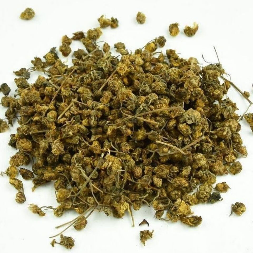 【官方旗舰】特级野菊花小野菊花散装中药材干菊花茶 野菊花500克