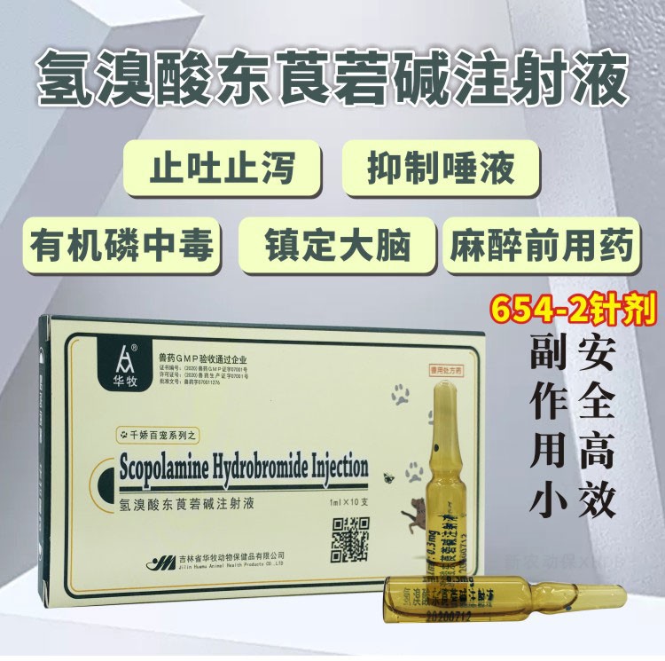 兽用兽药6542针剂猪牛羊犬胃肠绞痛呕吐解毒氢溴酸东莨菪碱注射液腺体