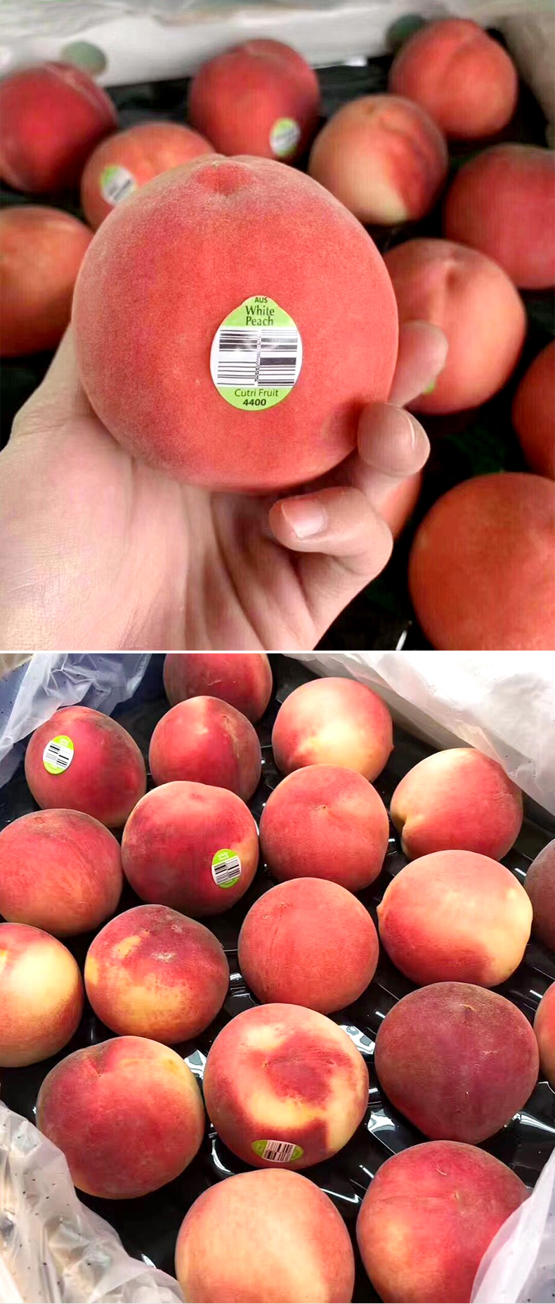 3斤精选一级果装 21年时令香甜软桃子大果新鲜孕妇生鲜桃子大果5斤