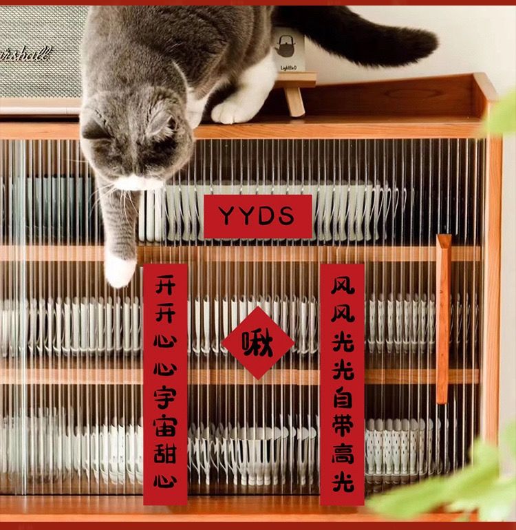 宠物对联2022年新年小猫咪春联新年迷你猫肥家润春节贴纸装饰猫肥家润