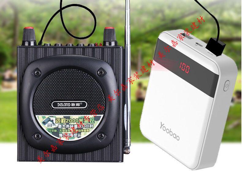 扩音器教学教师导游小蜜蜂大功率远程遥控晨练听戏机g可定制 蓝牙版