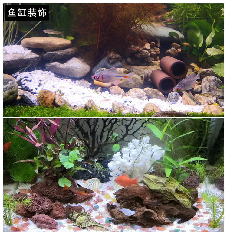 50斤鱼缸小石子白色鹅卵石鱼缸小石头园林庭院铺路造景水族鱼缸石子50