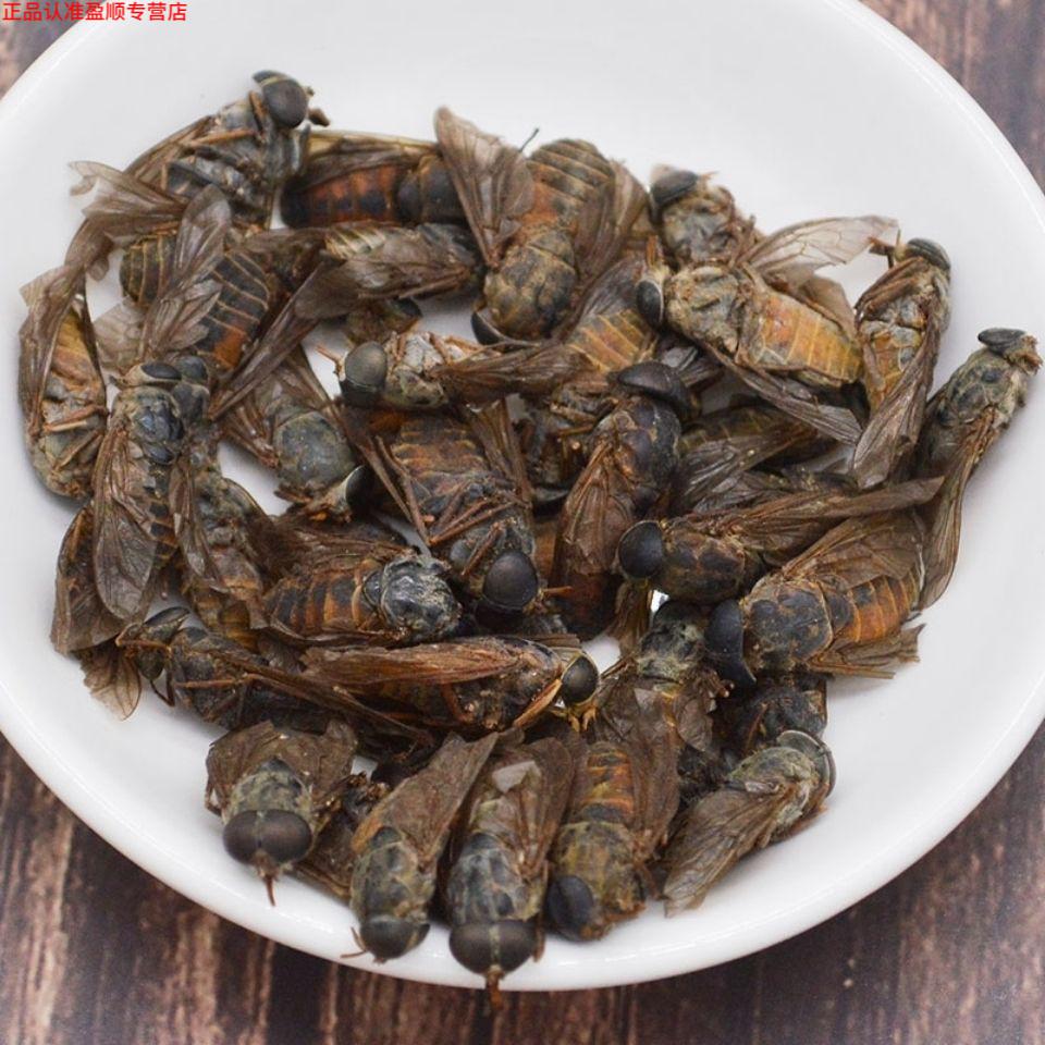 北京 同仁原料中药材牛虻虫干货野生牤虫牛蚊子牛蝇子牛苍蝇牛虻虫 多