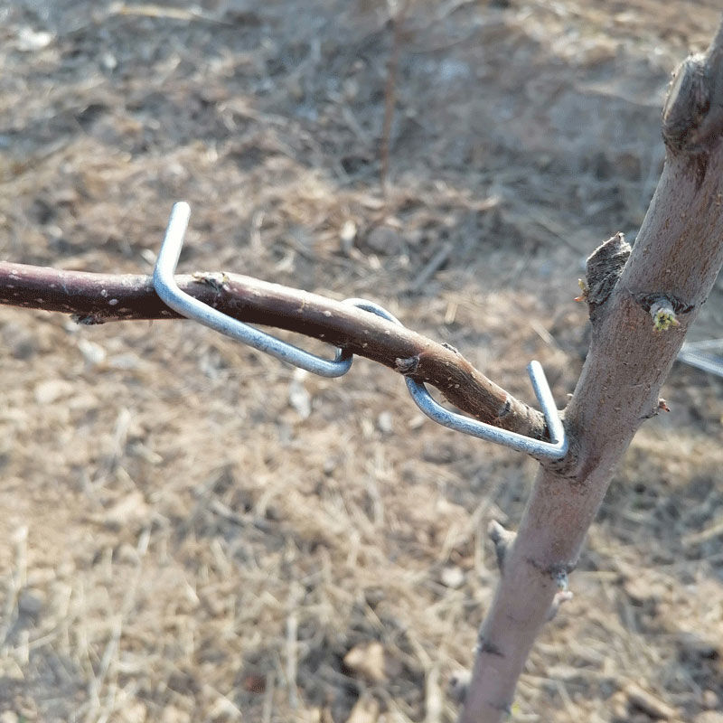 拉枝神器果木柑橘弯枝别枝器苹果树开角樱桃支撑固定拉枝定型器果树