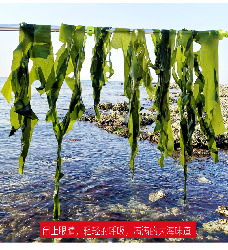 裙带菜干货小叶海带芽嫩新鲜牙苗非0脂肪海带裙群带菜海裙菜 买一加一