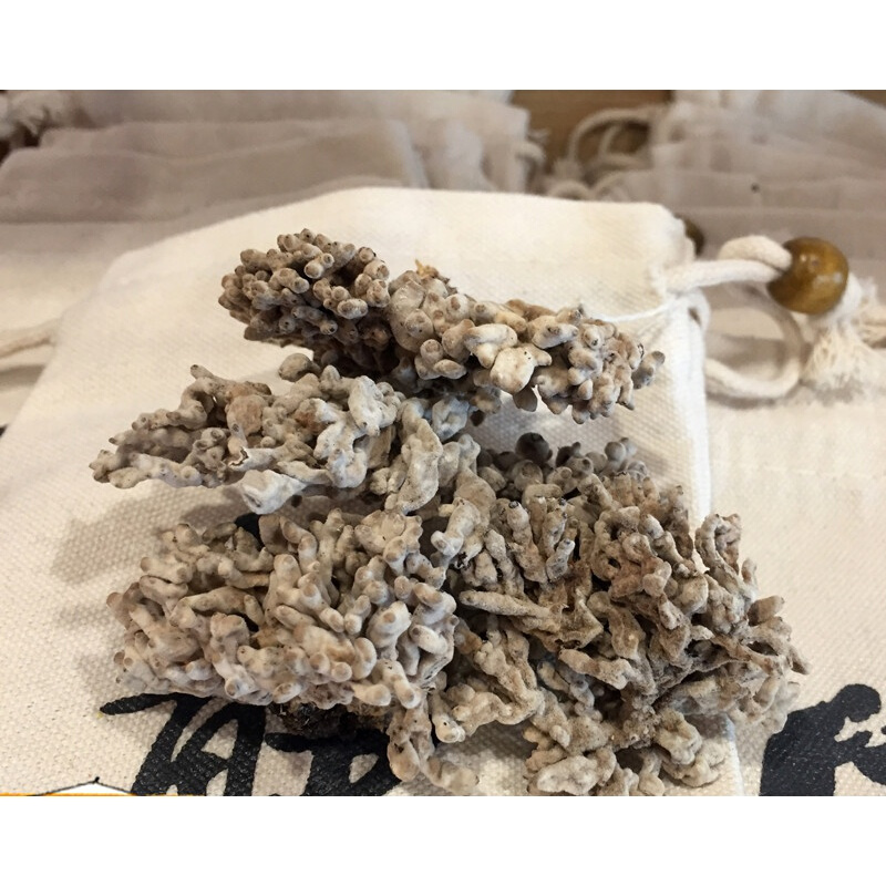 福建武夷山农家特产猫爪菇龙爪菇菌香菇干货新鲜鹿茸菇