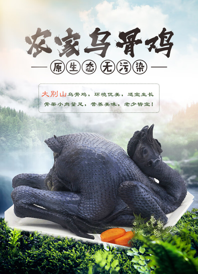 跑步鸡 新鲜乌鸡净重1kg 乌骨鸡肉生鲜走地鸡笨鸡柴鸡整鸡 农家乳鸽3