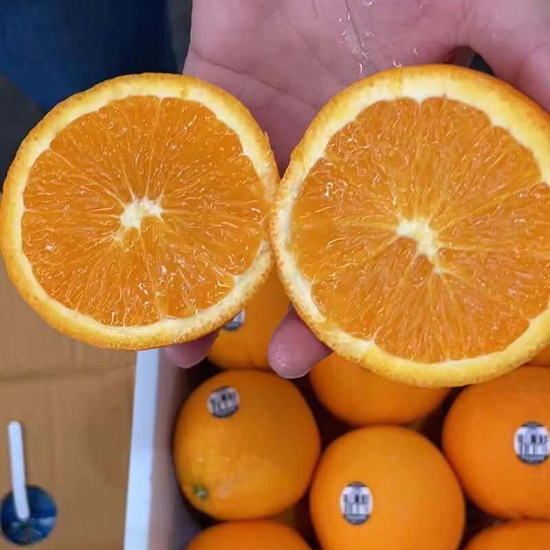 酥姿进口新奇士3107黑标橙sunkist脐橙38斤原箱鲜甜多汁新鲜水果 20斤