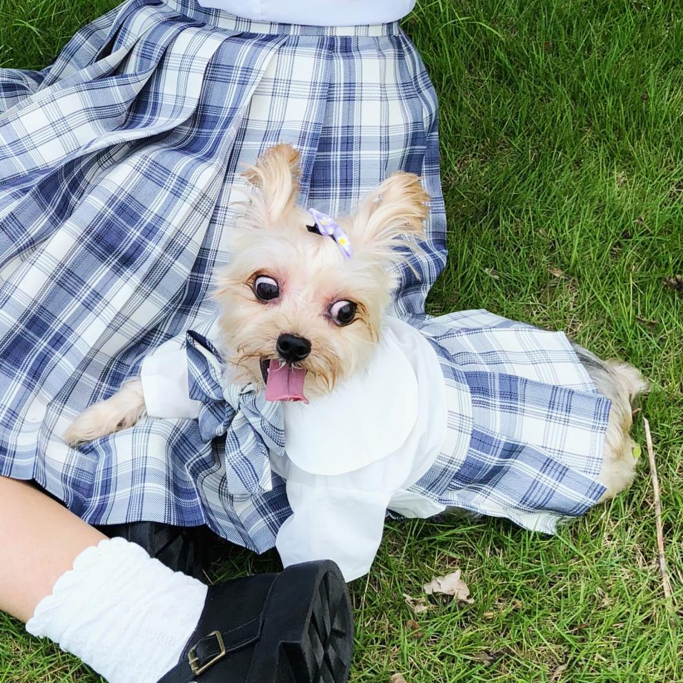 宠物jk制服狗狗猫咪衣服中小型犬法斗泰迪百褶裙水手服温柔一刀 花色4