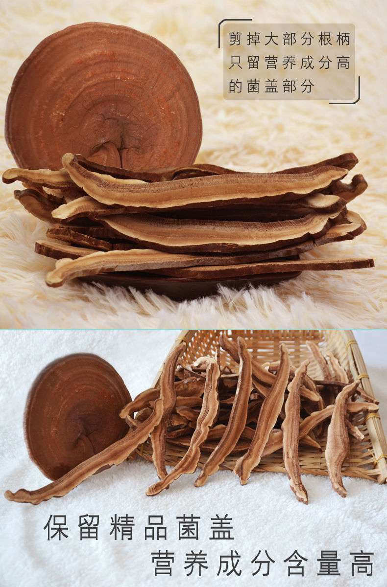 【官方旗舰】斗龙芝西藏赤灵芝大片斗龙之切片泡酒水