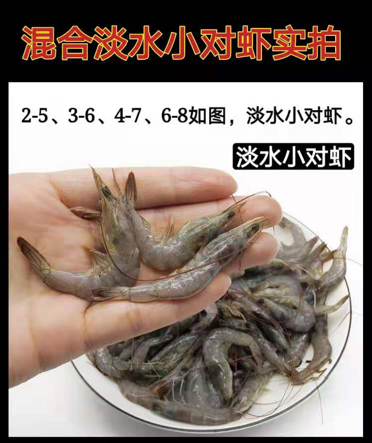 鲜活小河虾小青虾小白虾急冻淡水小海虾新鲜活体冷冻海鲜水产250g25cm