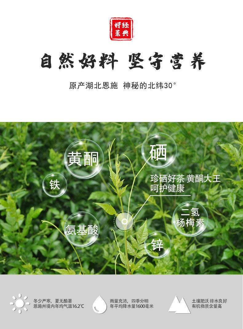 年货恩施藤茶特级袋装藤茶来凤莓茶湖北藤茶特级龙须茶批发土家莓茶叶