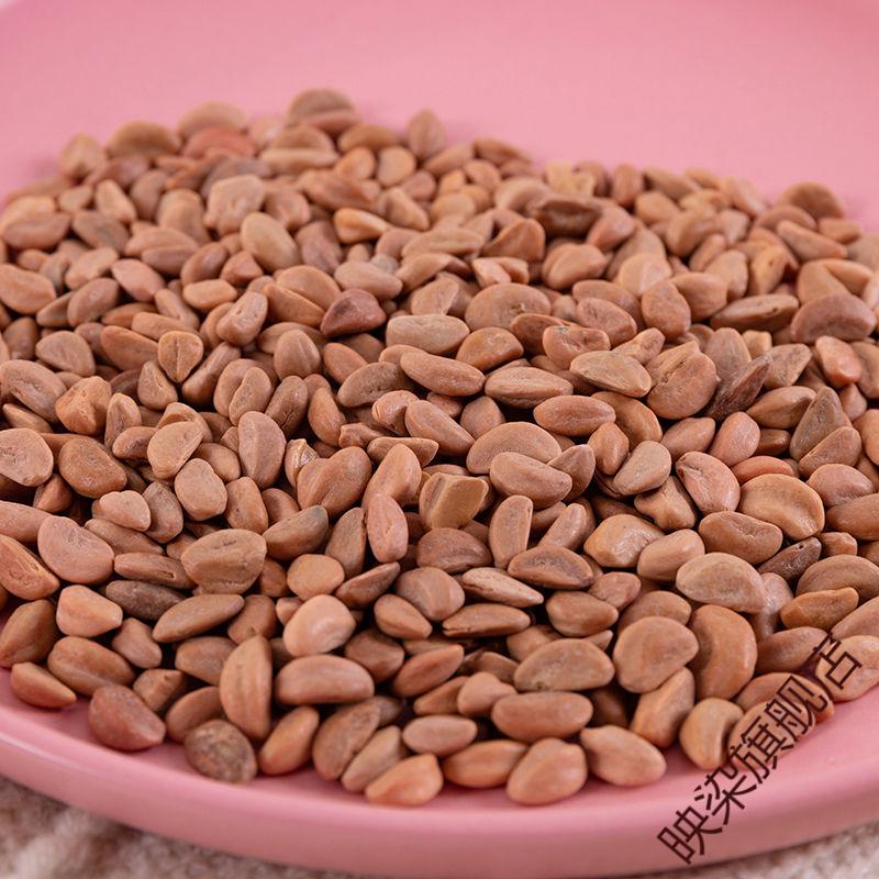 轻奢山楂籽颈椎枕头壳颈椎修复枕护颈圆枕糖果枕一只抖音网红sn3958