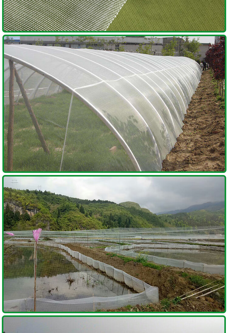 养猪场猪圈栏养殖场专用防蚊网大棚防虫网定制加厚抗老化纱窗网60目