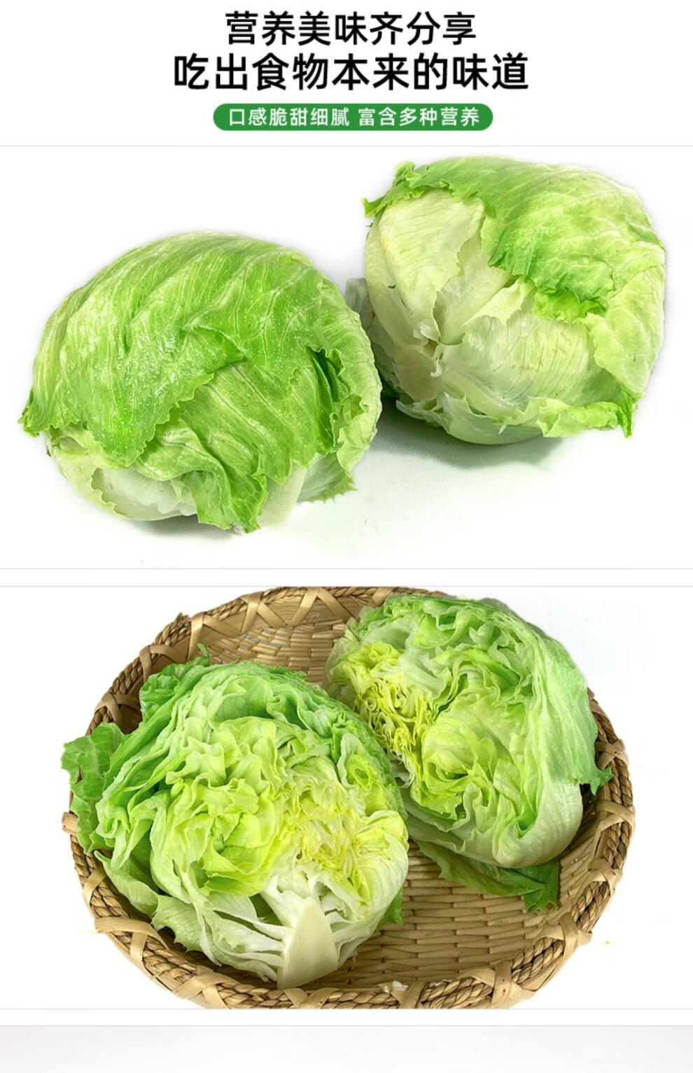 春光岛球生菜5斤新鲜蔬菜汉堡三明治生菜球型圆生菜西生菜沙拉色拉