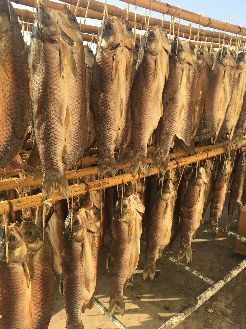 湖北腊鱼风干草鱼农家自制青鲩咸鱼青鱼阳干鱼整条腌鱼腊货年货整条