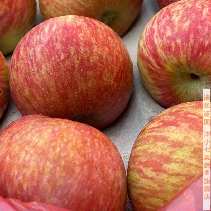 南非进口牛顿小苹果丑 苹果红富士水果新鲜香甜12个 60mm以下 1100g