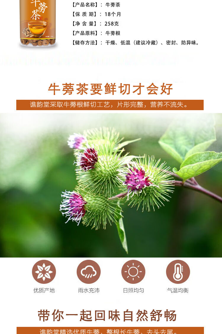 牛蒡茶黄金牛蒡根绿色呼吸茶牛蒡牛旁牛劳养生牛蒡筠康美堂精装250g1