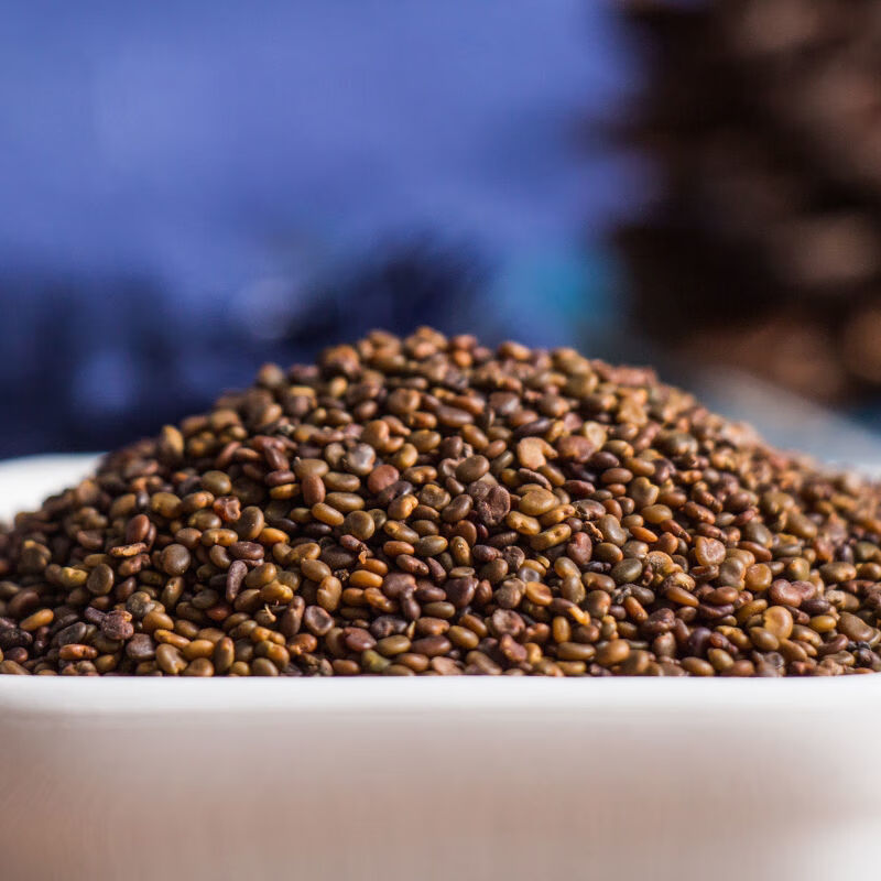 北京同仁堂原料中药材 野生沙苑子 精选正宗沙苑子颗粒特级沙苑子 沙