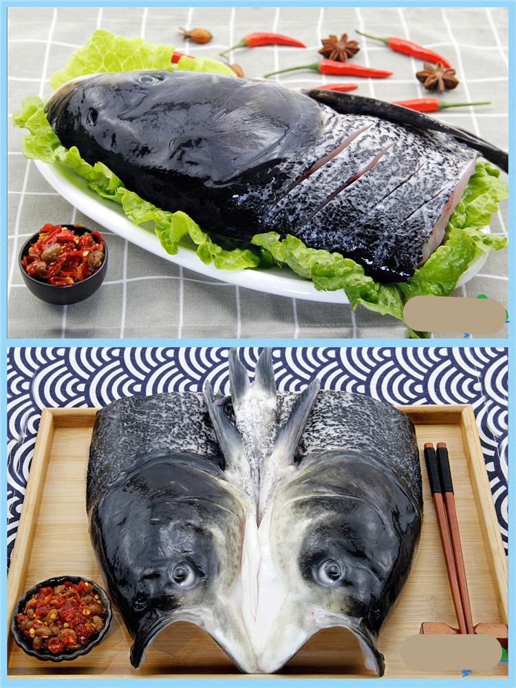 千岛湖大鱼头新鲜胖头鱼鳙鱼花鲢大头鱼包头鱼鲜活食用水产4斤鱼头一