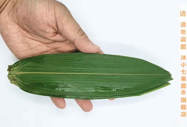 叶100片小号 棕子叶鲜新鲜青竹叶 日式寿司料理烤肉摆盘装饰用小粽叶