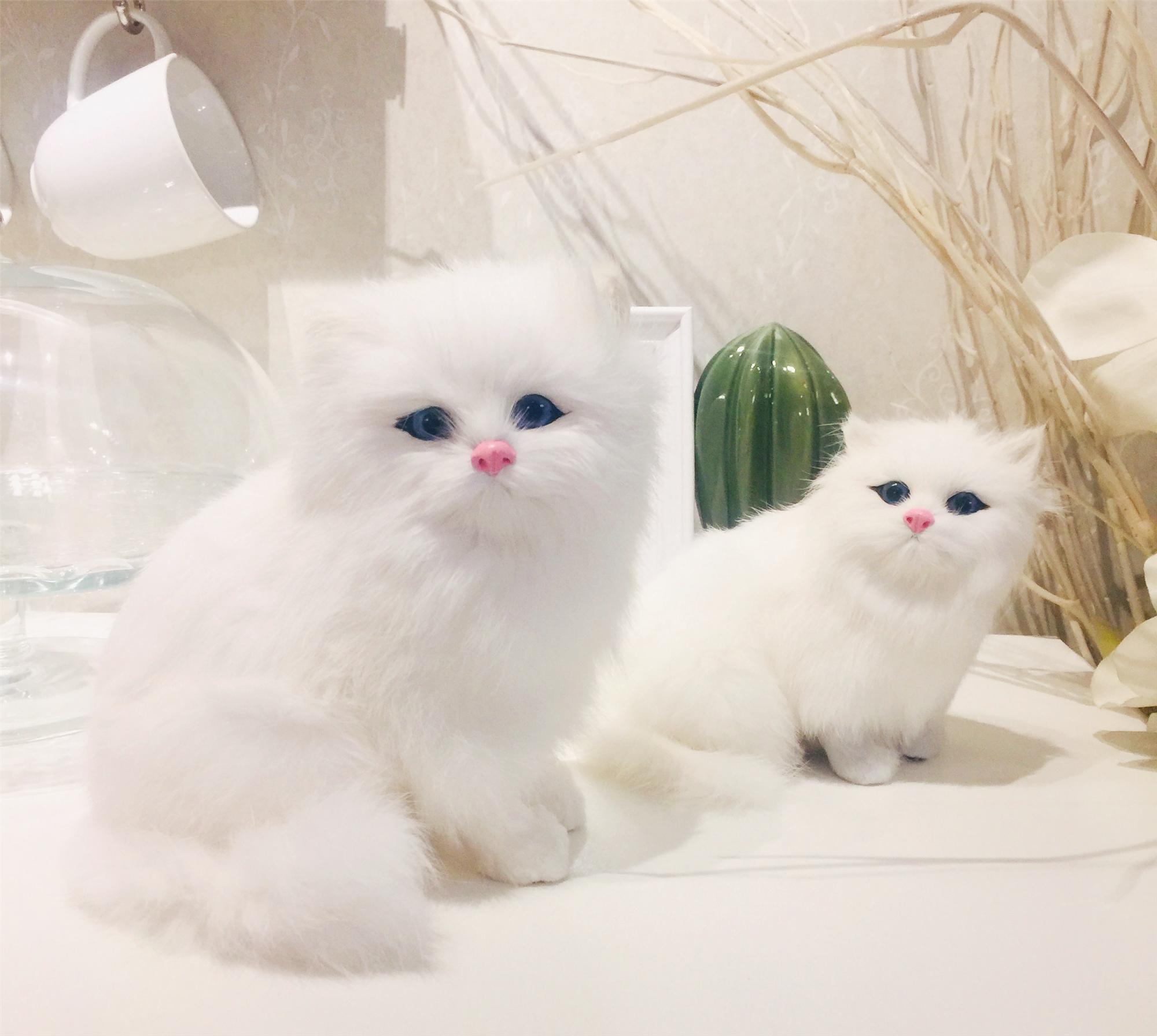 仿真猫动物工艺玩偶儿童玩具假猫波斯猫咪毛绒玩具小猫咪摆件生日礼物