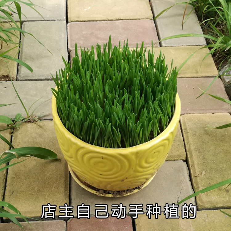 17b847014a1da7ea.jpg