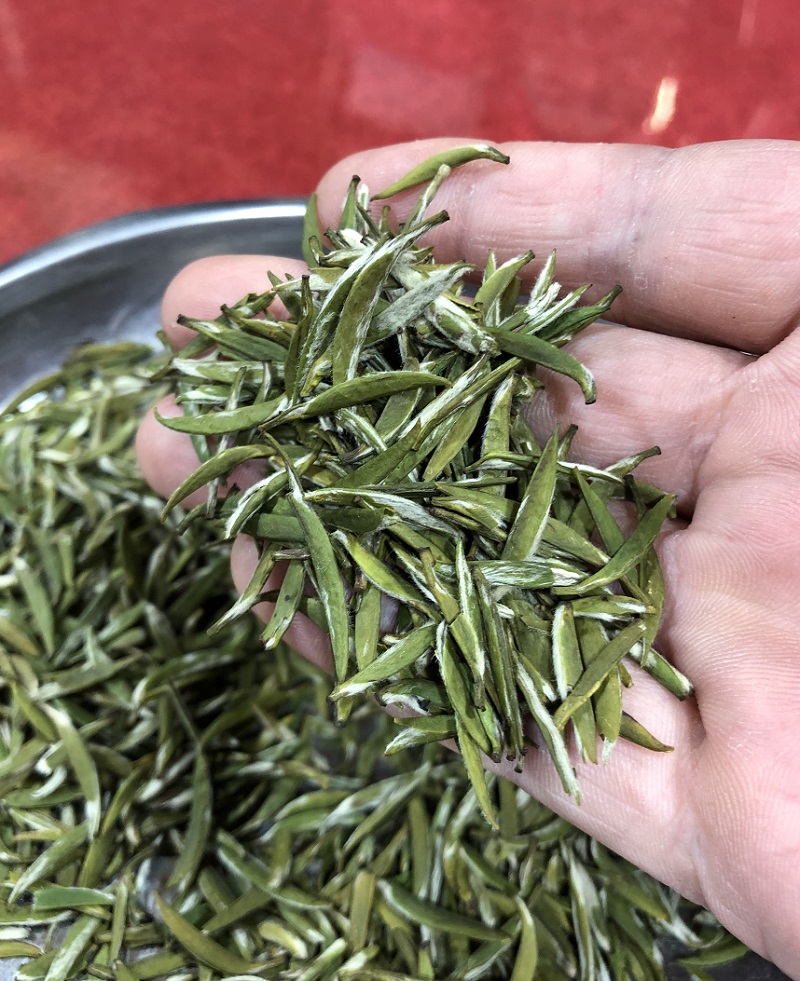 野栋茶叶2020新茶明前特级单芽嫩芽绿杨春茶叶扬州特产 250g陶瓷罐