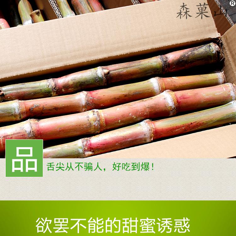 云南脆皮罗汉甘蔗新鲜罗汉甘蔗绿红皮水果孕妇当季正宗云南特产3斤