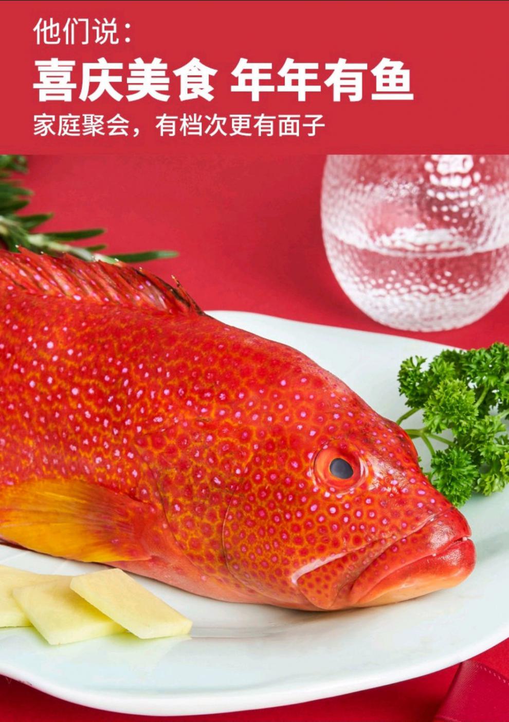 深海东星斑鲜活速冻红石斑鱼龙胆海鱼没小刺肉嫩辅食整条600g700g一条