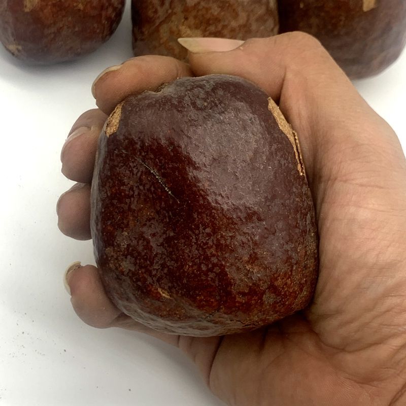 佛心果菩提子原籽料空心金灯菩提果彩色释迦菩提成品挂件项链 大果2颗