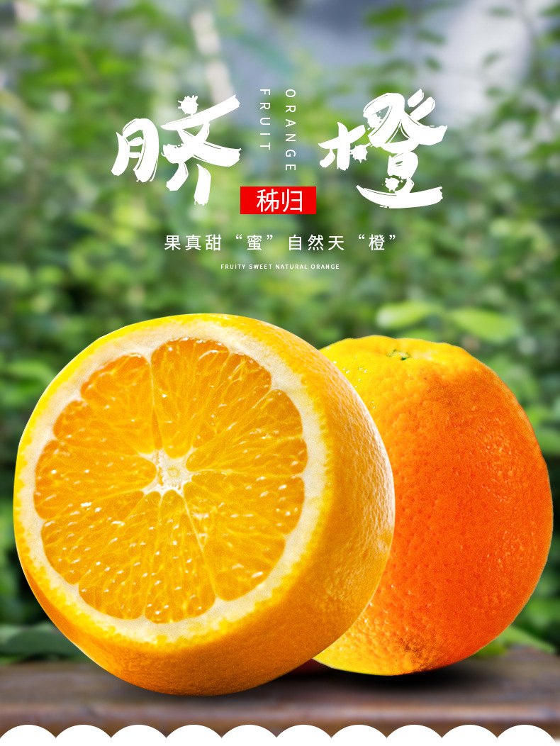 秭归纽荷尔新鲜甜橙水果冻橙子手掰剥手掰橙176度非赣南10斤65mm含