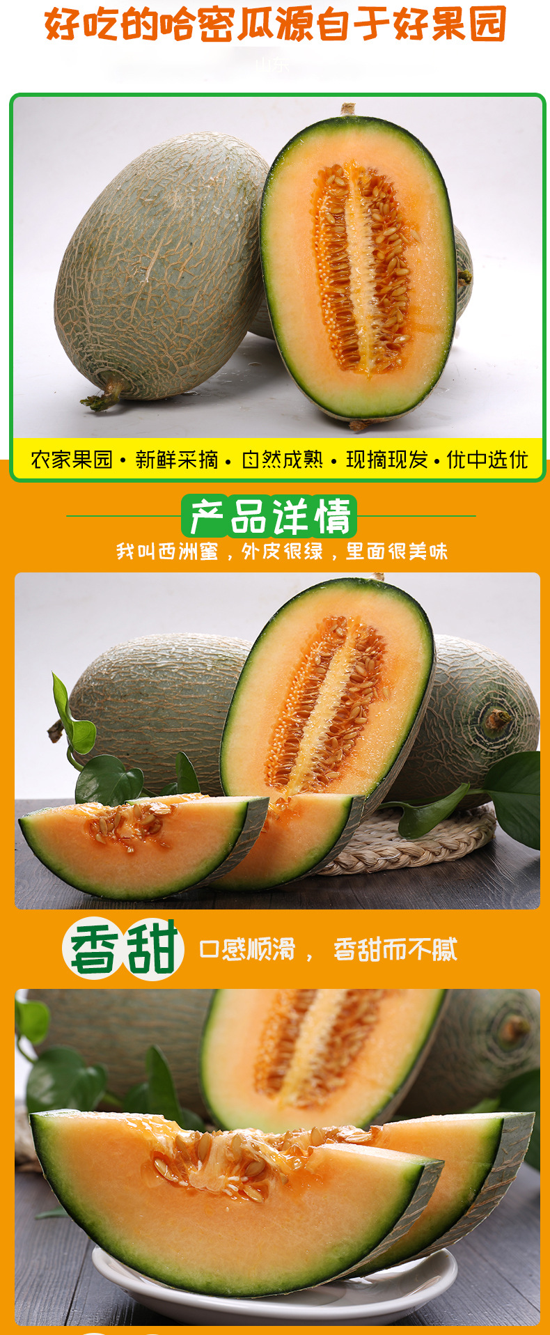 山东哈密瓜西州蜜晓蜜25号蜜瓜2500g装当季新鲜水果哈密瓜5斤装净果