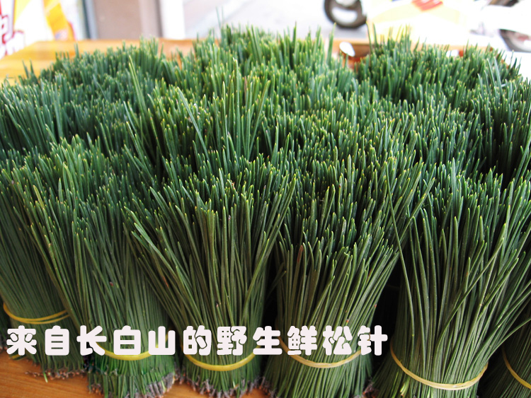 长白山松针茶叶特级马尾松针茶新鲜红松针五针全松茶500g