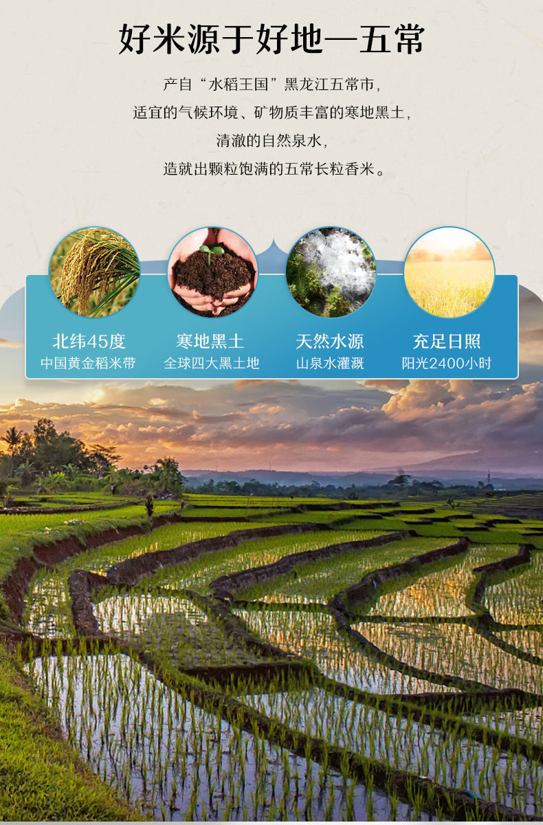 五常长粒香米10斤五常大米五常香米产地五常长粒香5kg