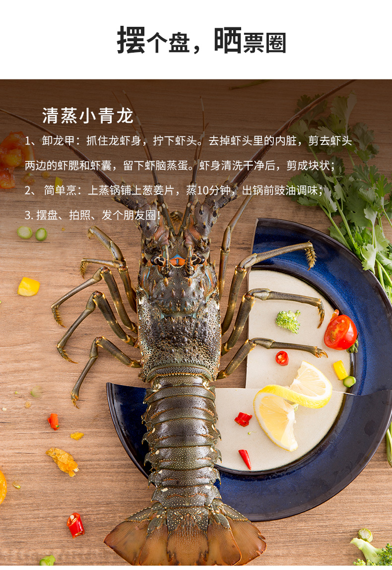 鲜活青龙新鲜大虾海鲜水产小青龙45两只2只装