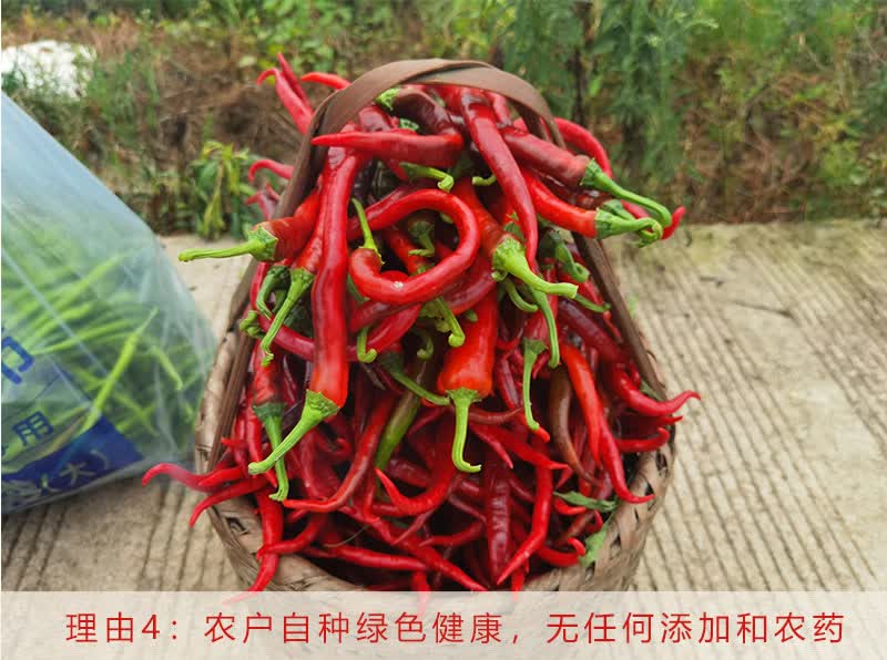 湖南本地农家自种新鲜红辣椒现摘现发二荆条线椒长四川1000g