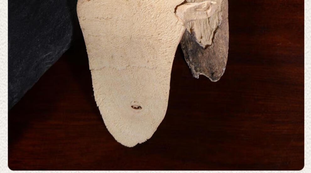 白茄根500克茄子根茄母茄根茄柴