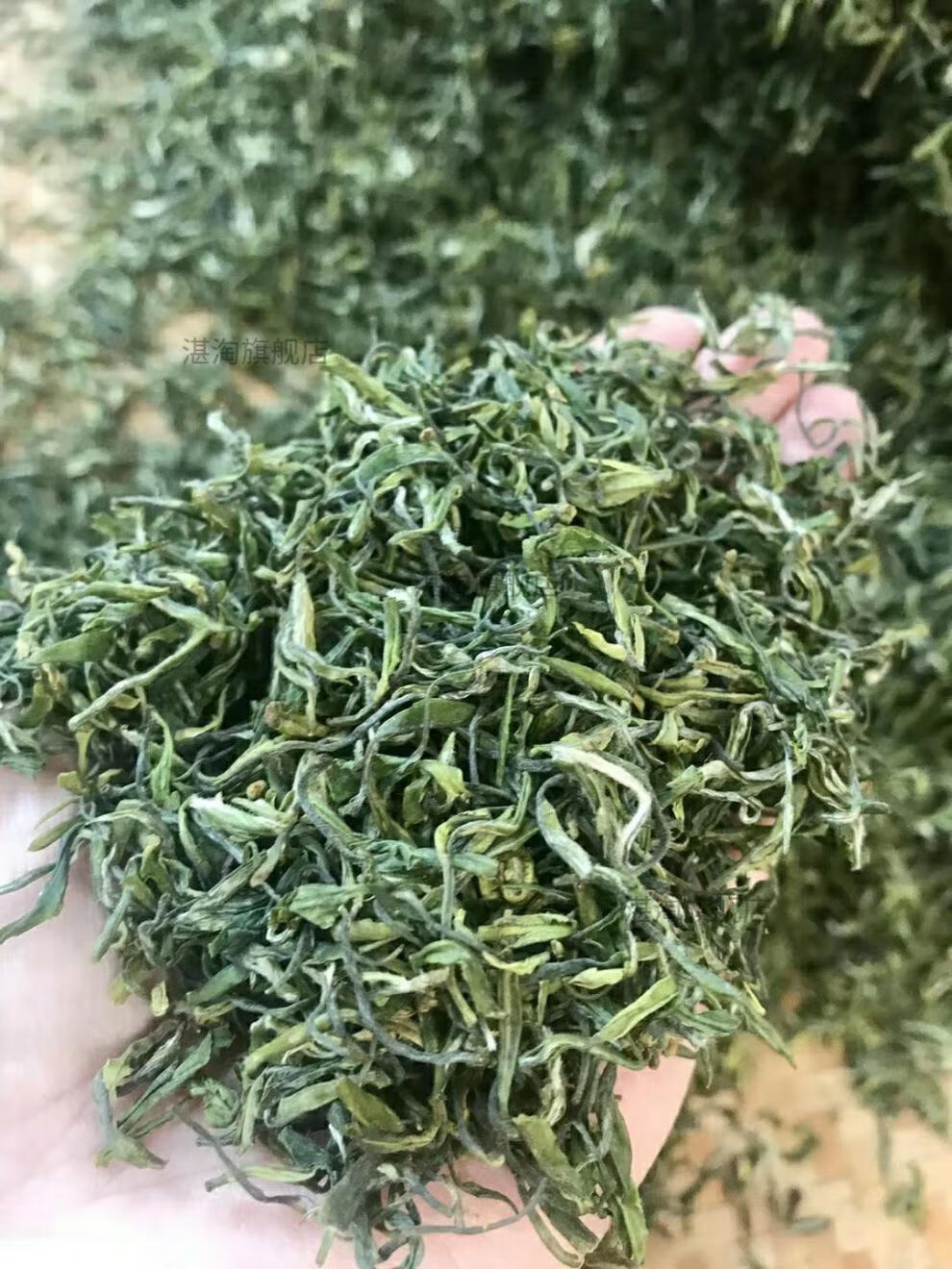 泰顺特产2021年新茶明前茶雨前茶高山云雾茶三杯香绿茶茶叶250克雨前