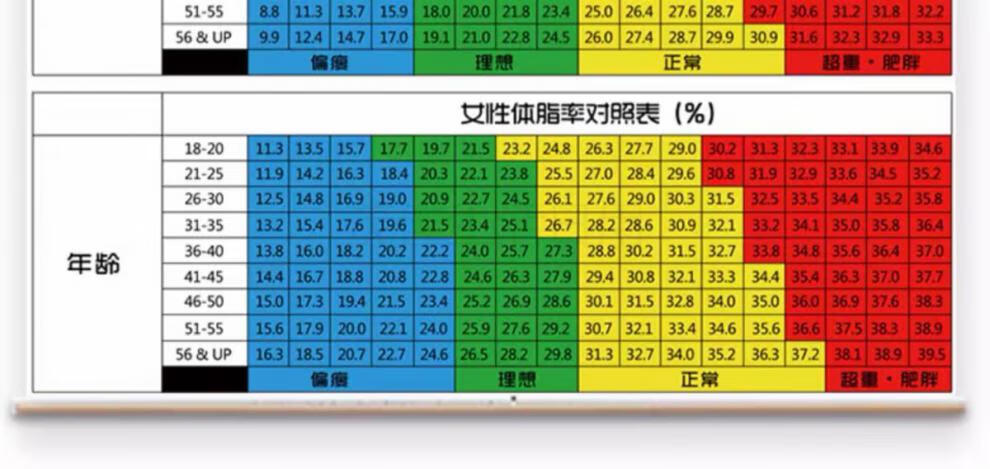 体态评估表挂式体态评估表工作室健身房墙贴瑜伽馆中医养生馆人体体测