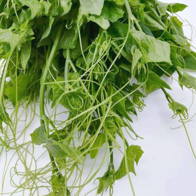 云南德宏新鲜蔬菜傣家自种洋瓜尖 丝瓜尖 佛手瓜尖龙须菜1/2斤 2斤