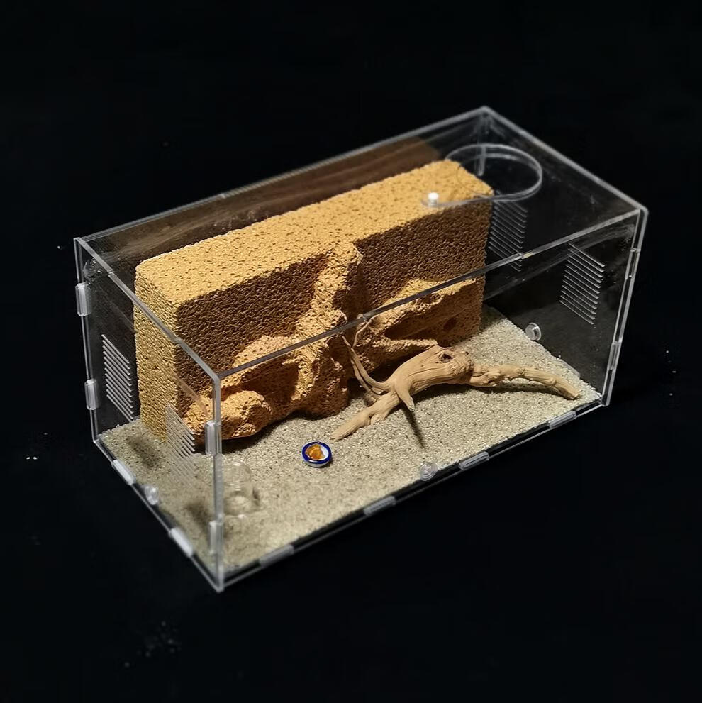 蚂蚁城堡宠物蚂蚁生态箱五代天然吸水石蚁巢手工蚁村