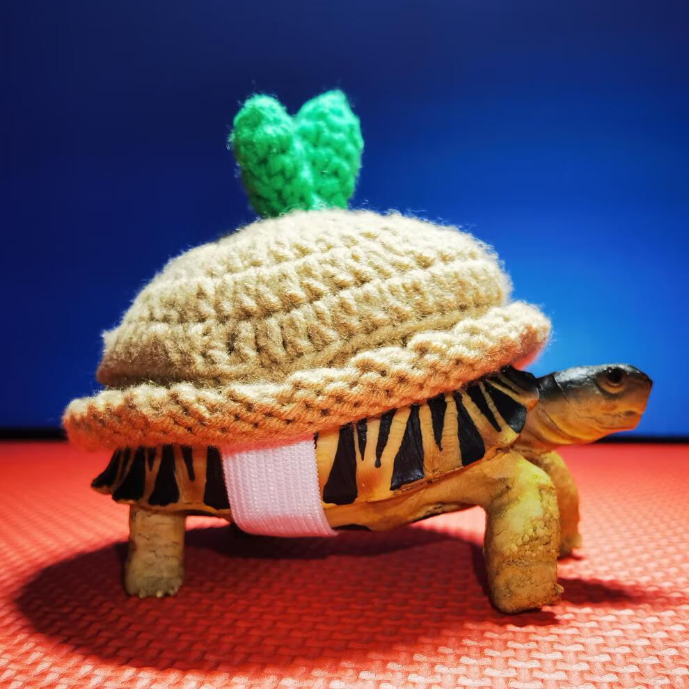 【可开票】衣服秋冬定制保暖可爱个性水龟苏卡达豹龟巴西龟宠物用品