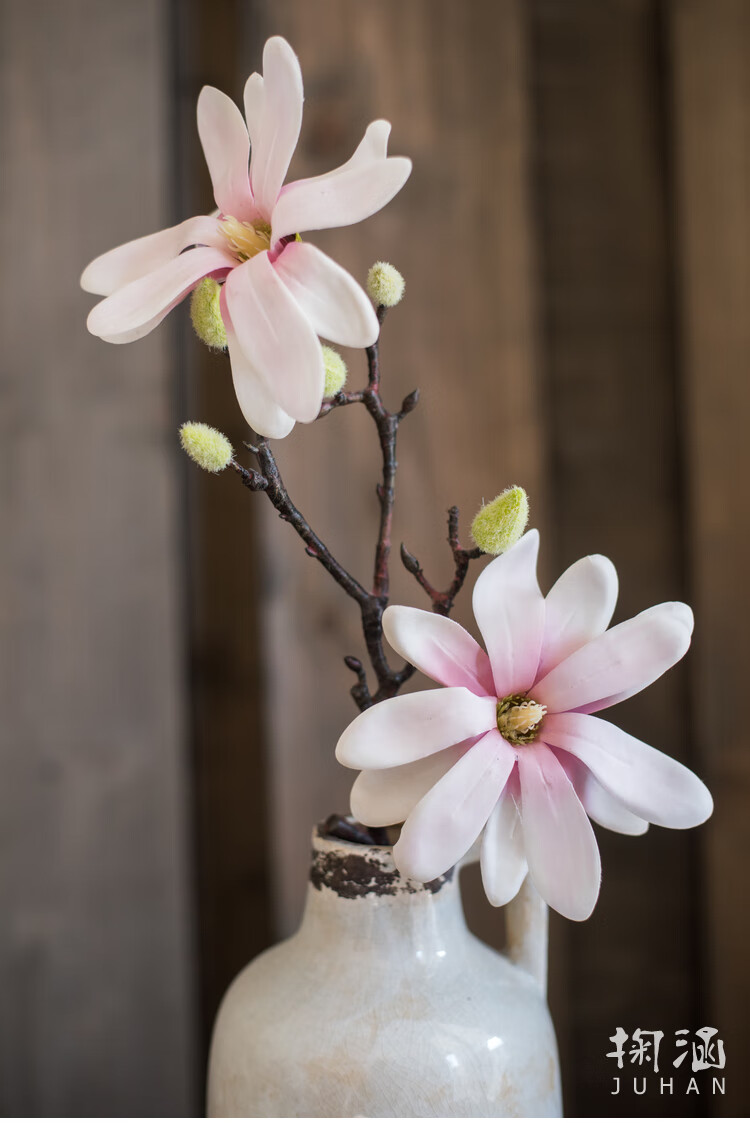 掬涵 戎亚玉兰花仿真花装饰花艺套装插花摆件欧式中式新古典 单耳瓶2