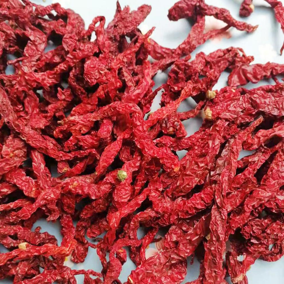 贵州特产自然晒干皱皮辣椒长辣椒二荆条红辣椒干辣椒中辣特香定制2斤